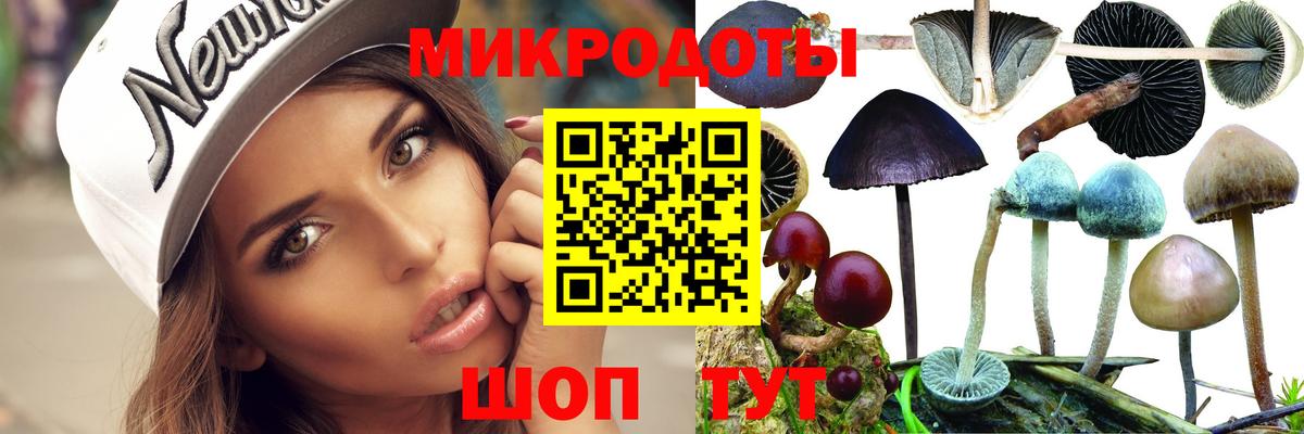 Галлюциногенные грибы ЛСД Кувандык